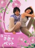 Дорама Мой любимец сериал 2003  смотреть онлайн